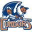 Bakersfield Condors