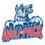 Hartford Wolf Pack