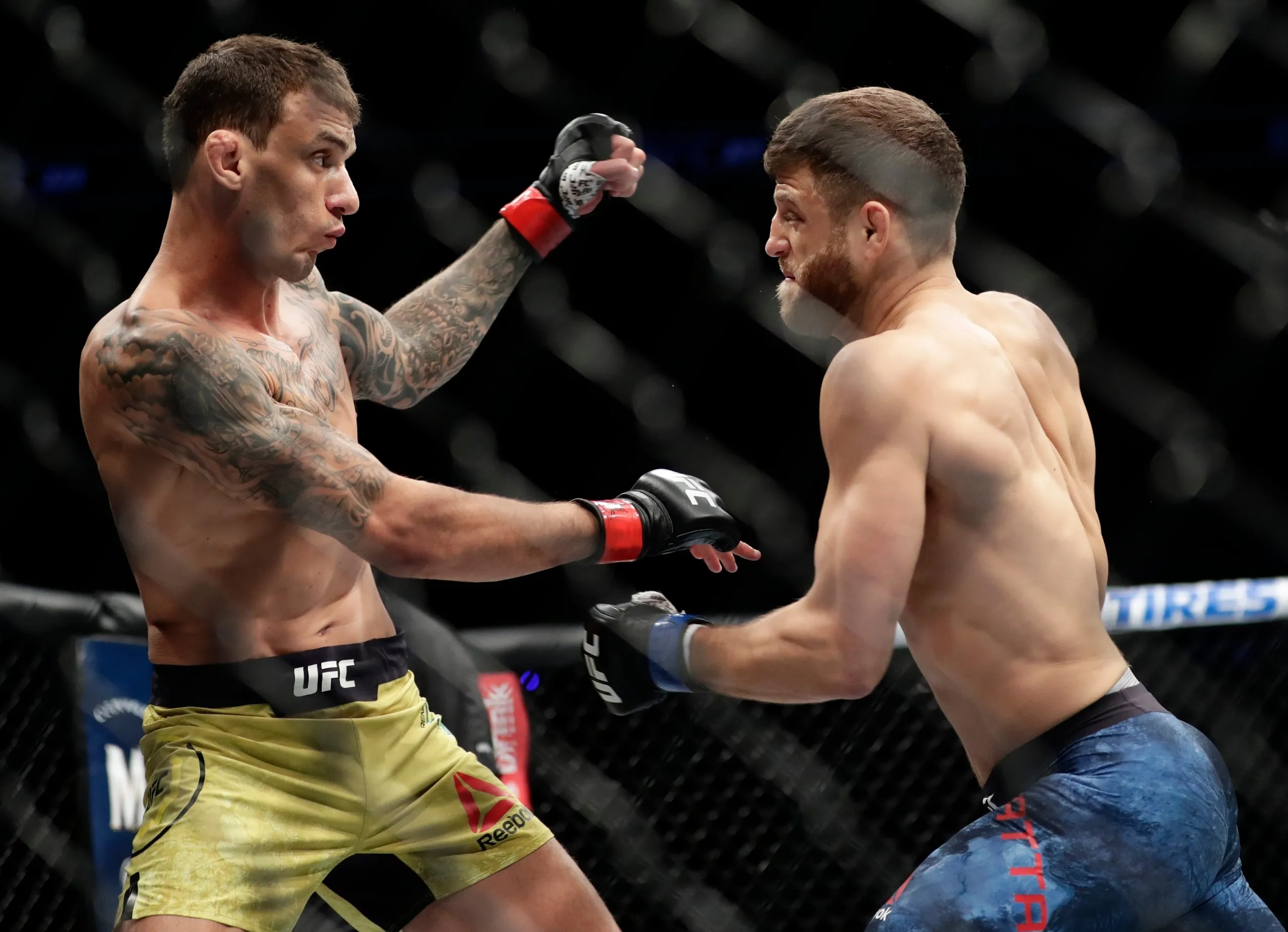 UFC 281: Brad Riddell reflects on recent UFC run and split-camp approach  for bout against Renato Moicano - NZ Herald