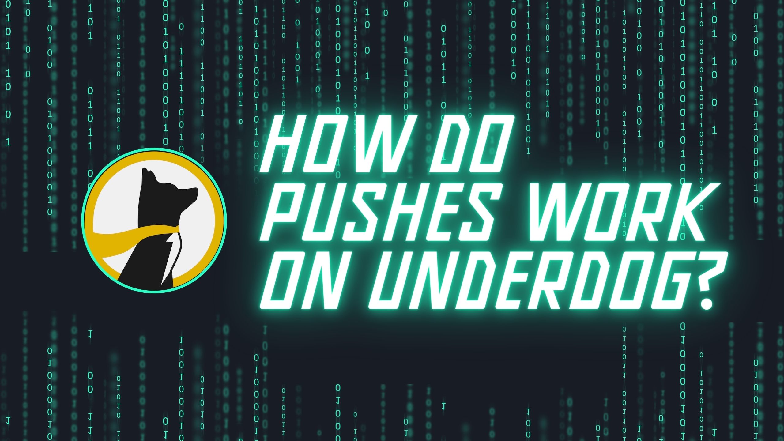 How The Underdog Works